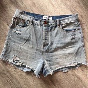 Button Fly Denim Shorts